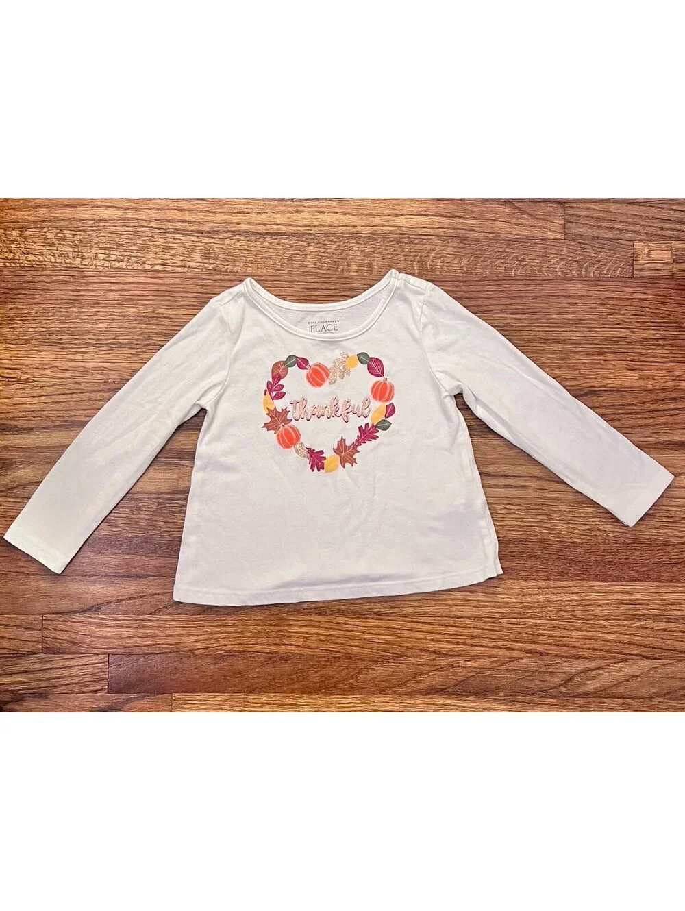 The Childrens Place Girls Long Sleeve Thanksgiving Shirt / Fall Shirt (12-18m)